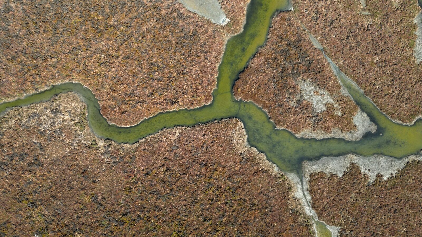 Consular Relations & Human Rights